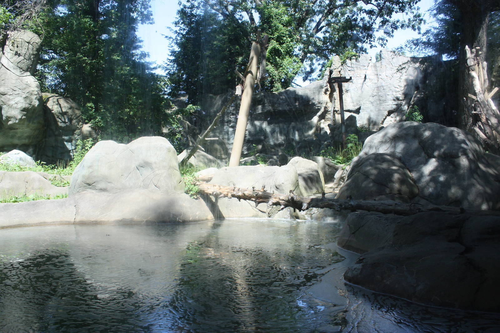 Marco Polo Trek- Asiatic Black Bear Exhibit