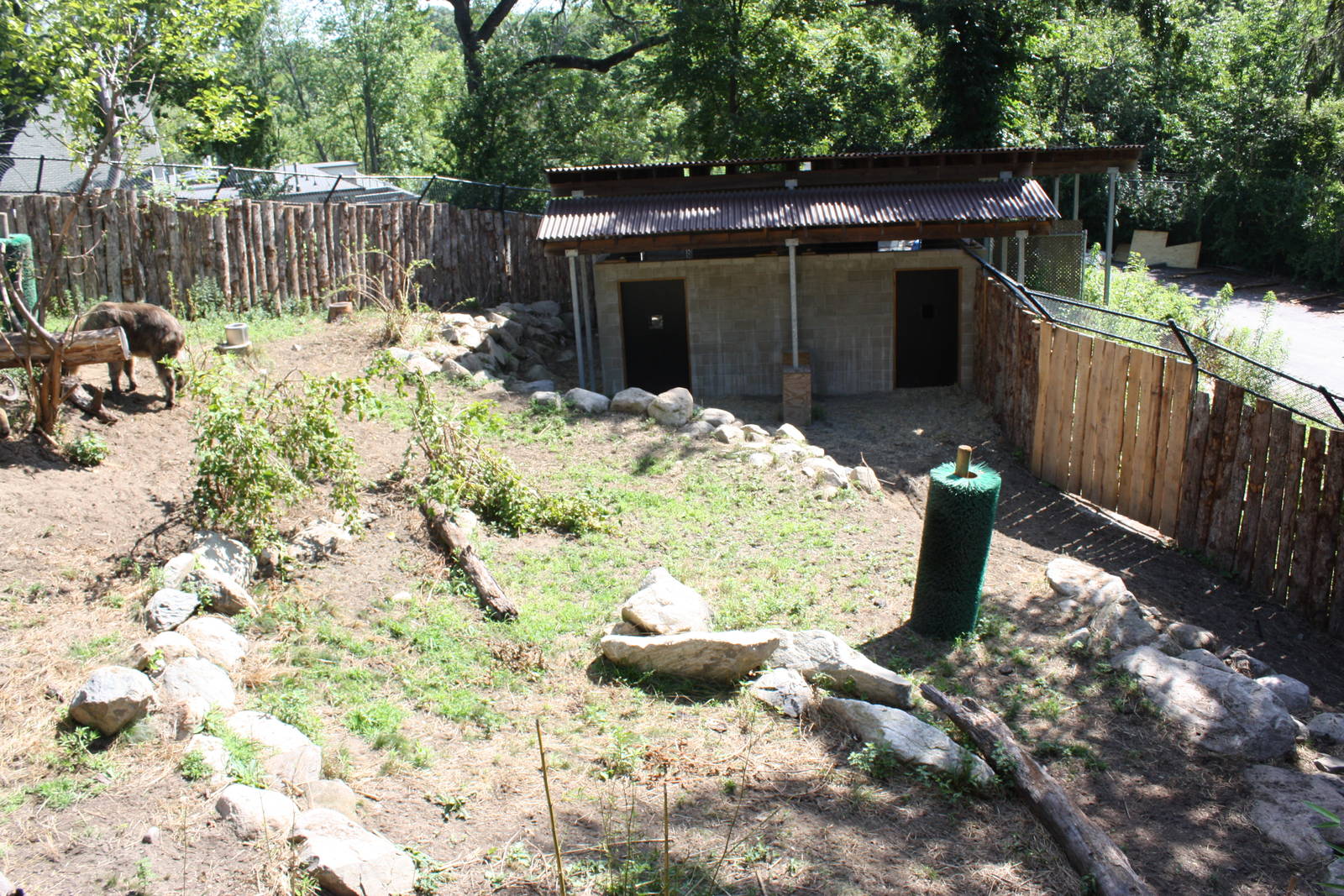Marco Polo Trek- New Takin Exhibit