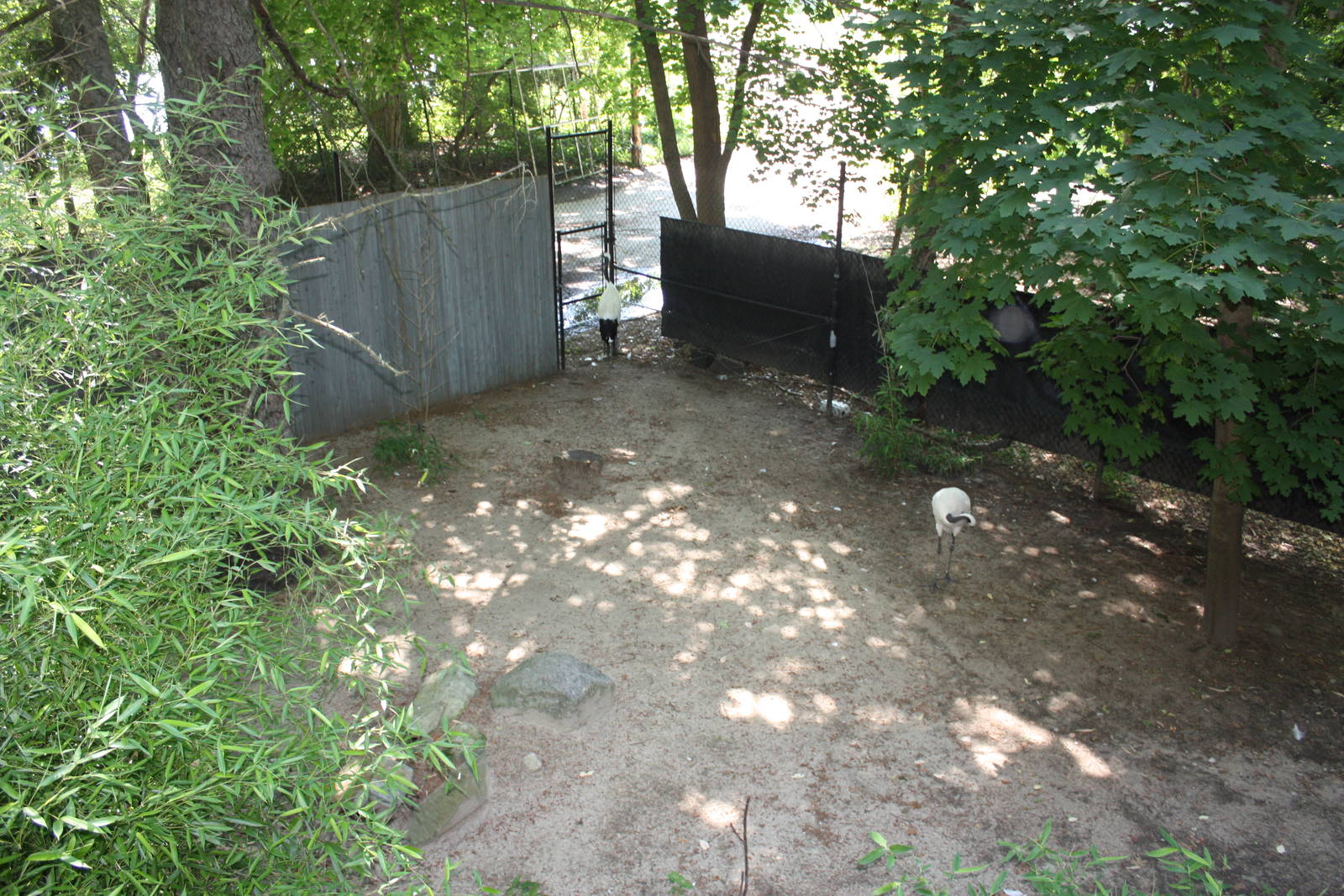 Marco Polo Trek- Red-Crowned Crane Exhibit