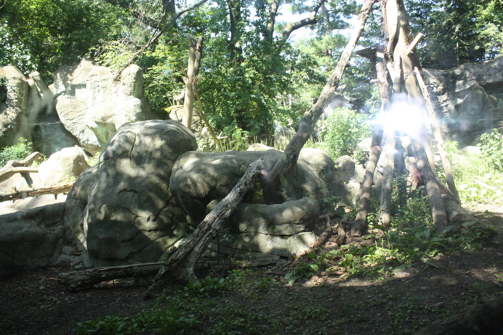 Marco Polo Trek- Snow Leopard Exhibit