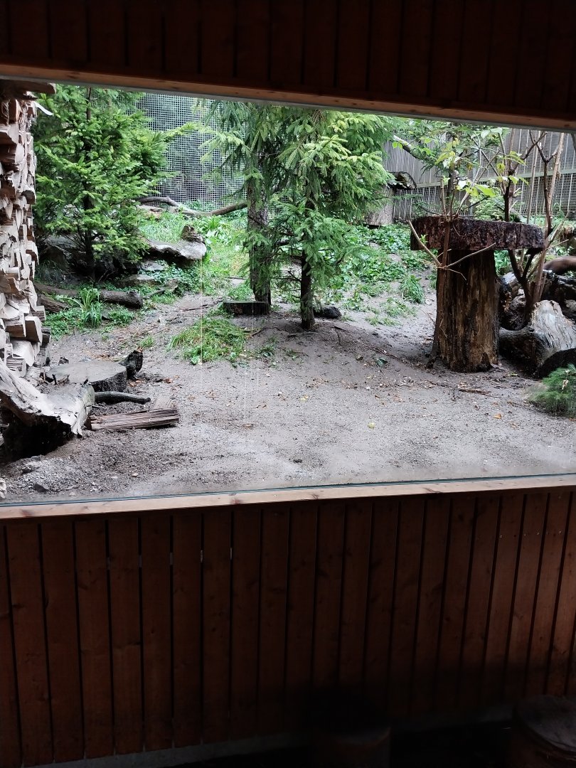 Marderhaus - Pine Marten House