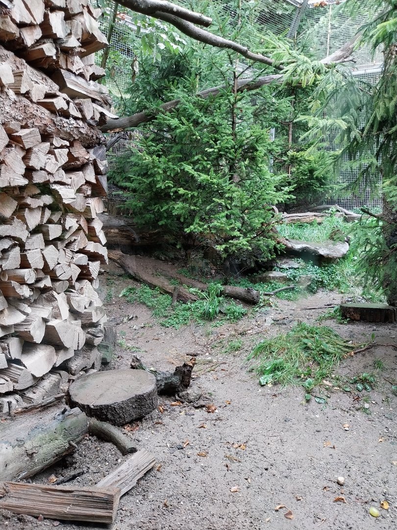 Marderhaus - Pine Marten House