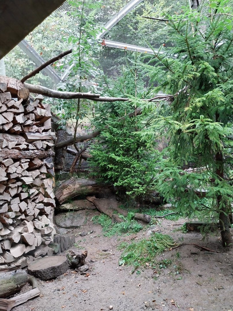 Marderhaus - Pine Marten House