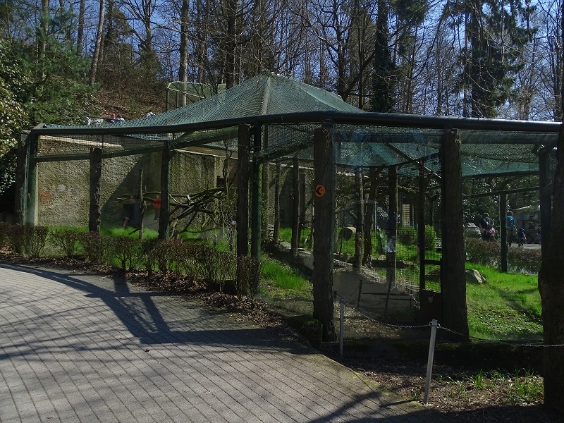 Margay enclosure (04/2023)