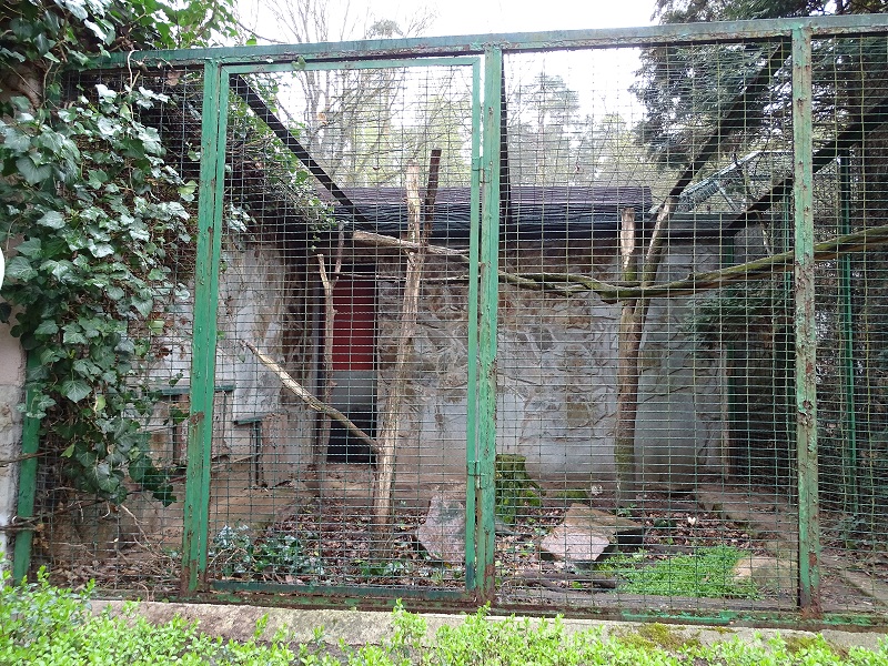 Margay enclosure  (04/23)