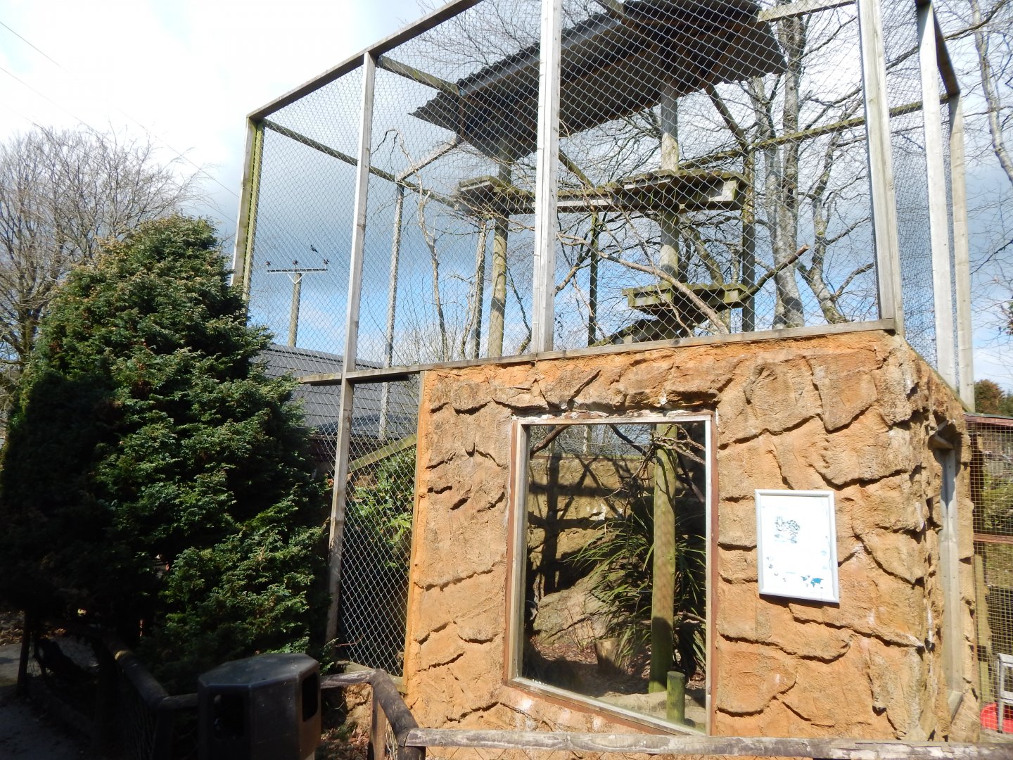 Margay enclosure 140421