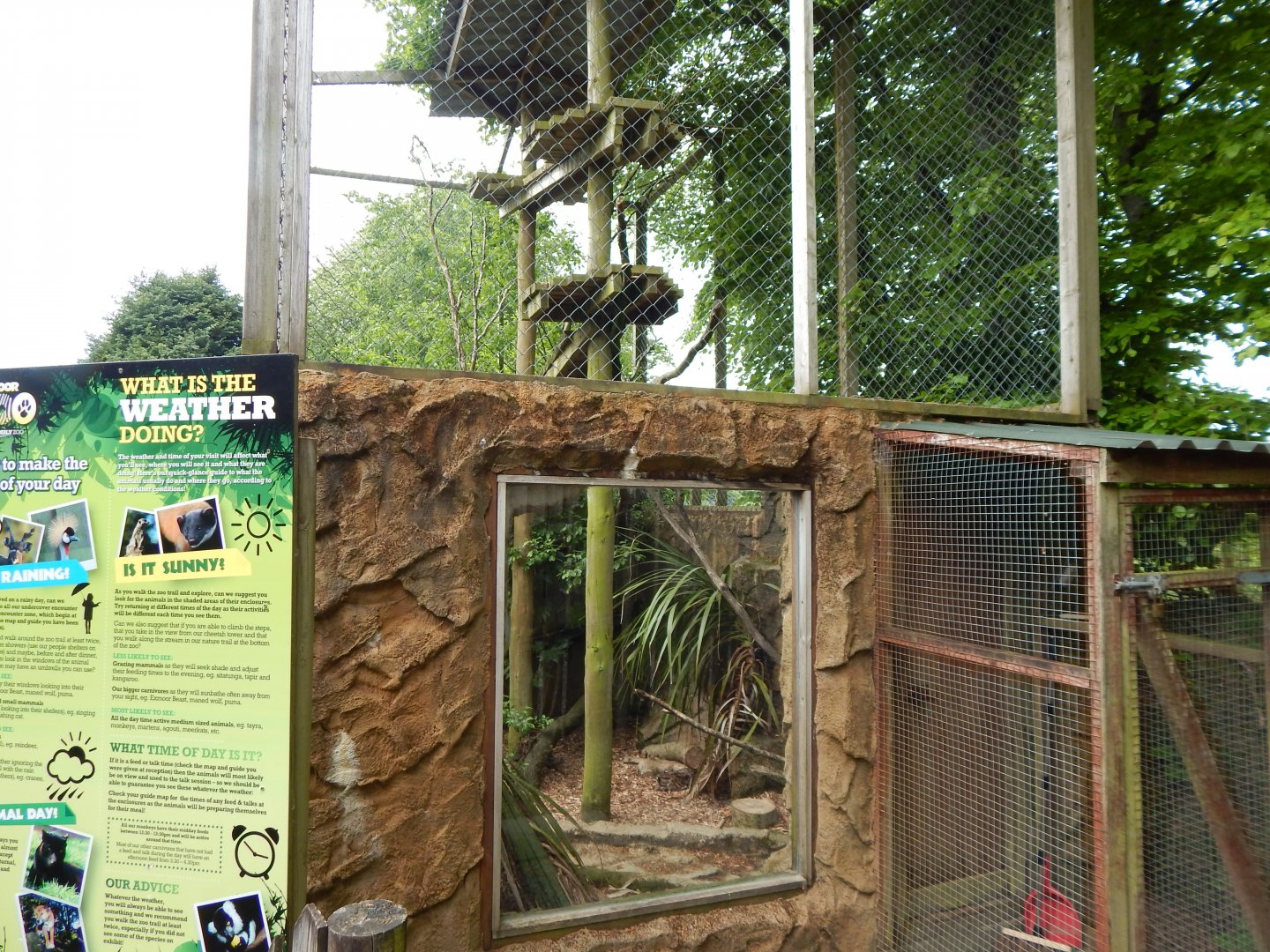 Margay enclosure 150522