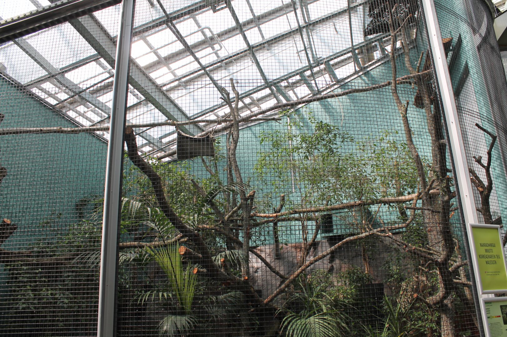 Margay Enclosure