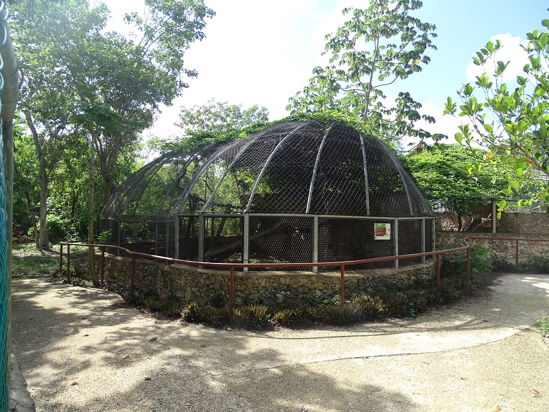 Margay enclosure