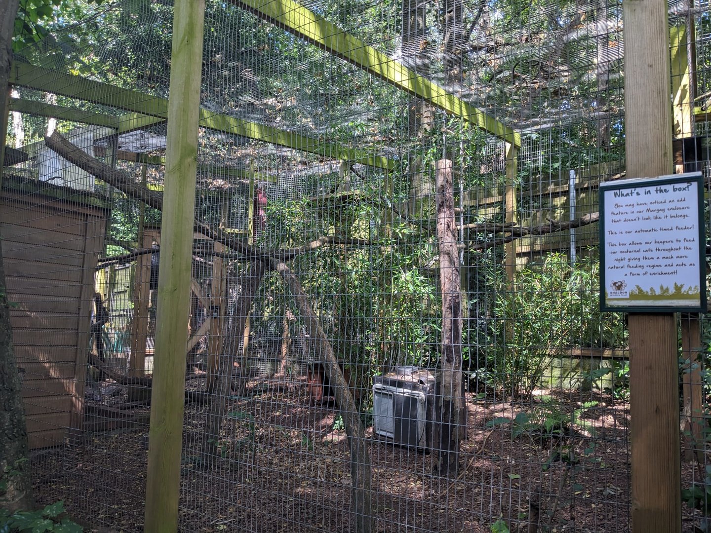 Margay Enclosure