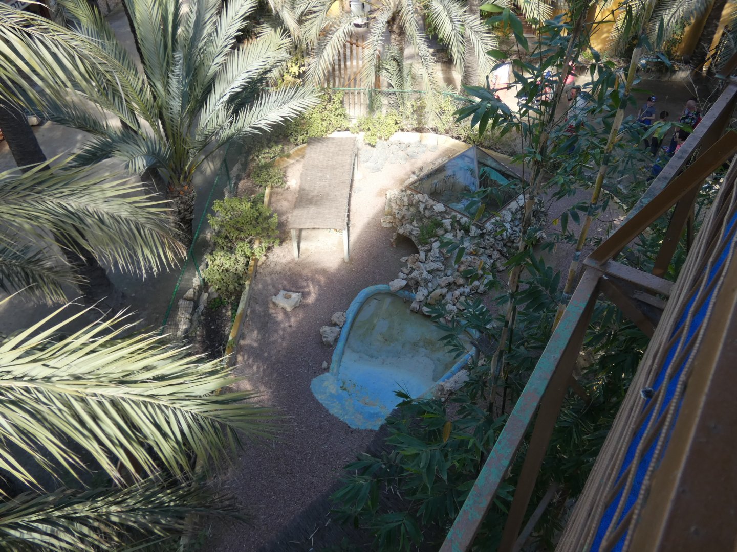 Marginated Tortoise Enclosure from above