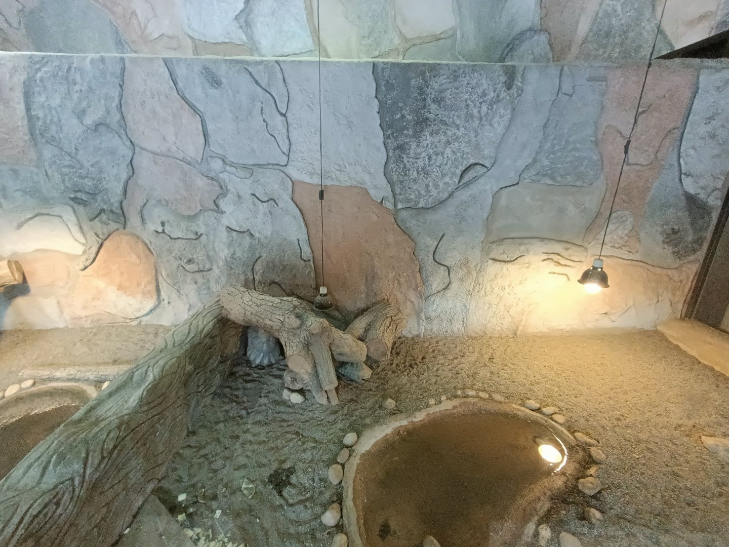 Marginated tortoise exhibit - Crocodile park Torremolinos