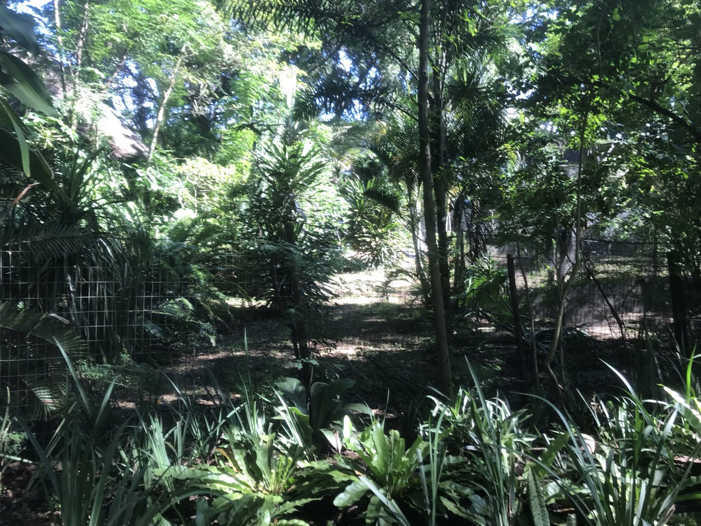 Maribou Stork Exhibit