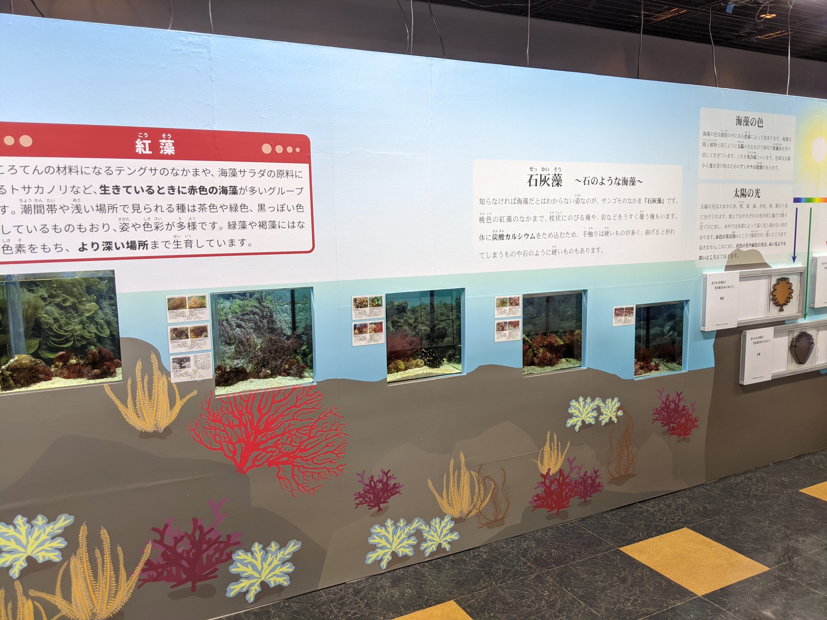 Marine algae room