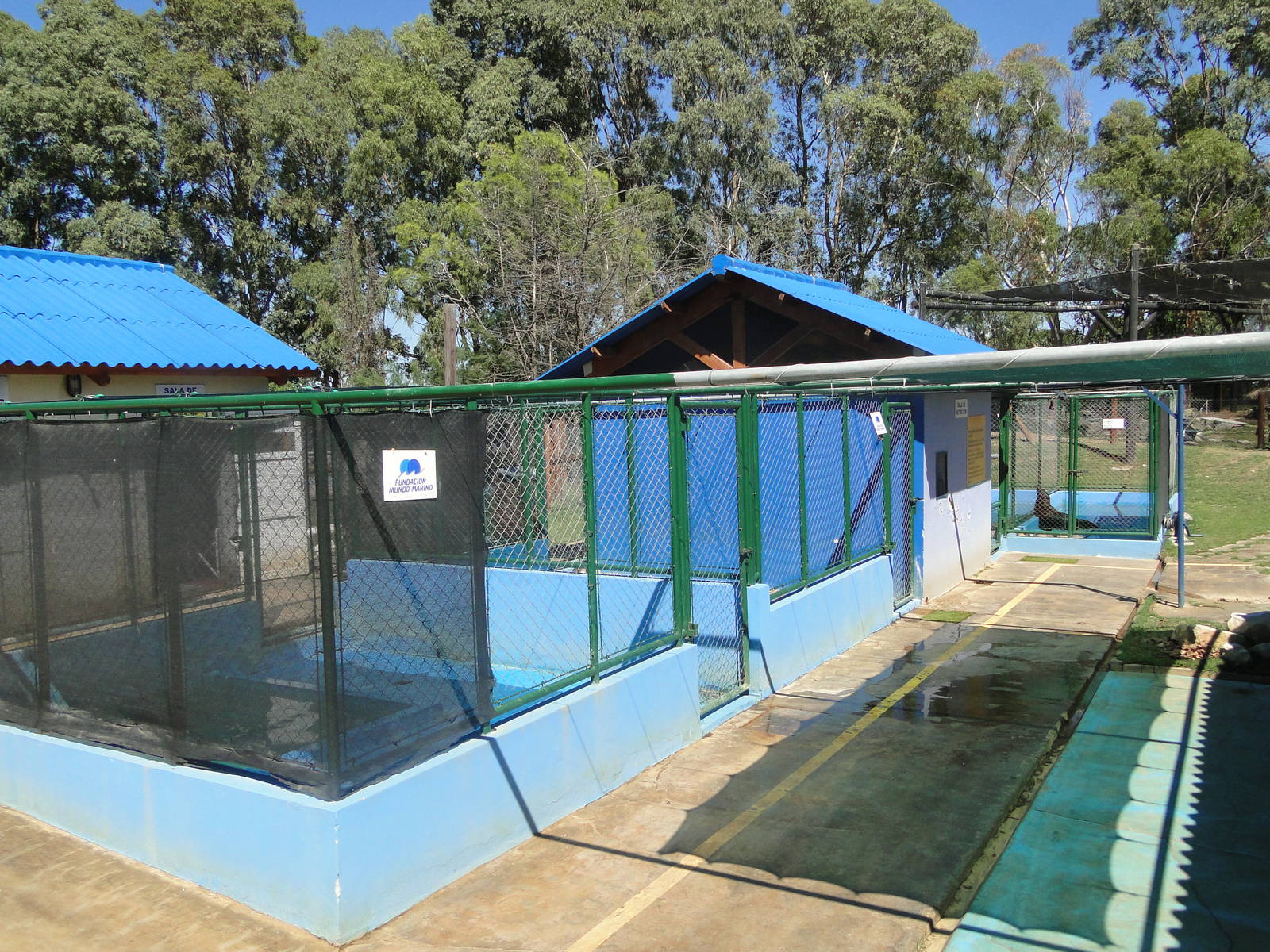 Marine Animal Rehabilitation Center