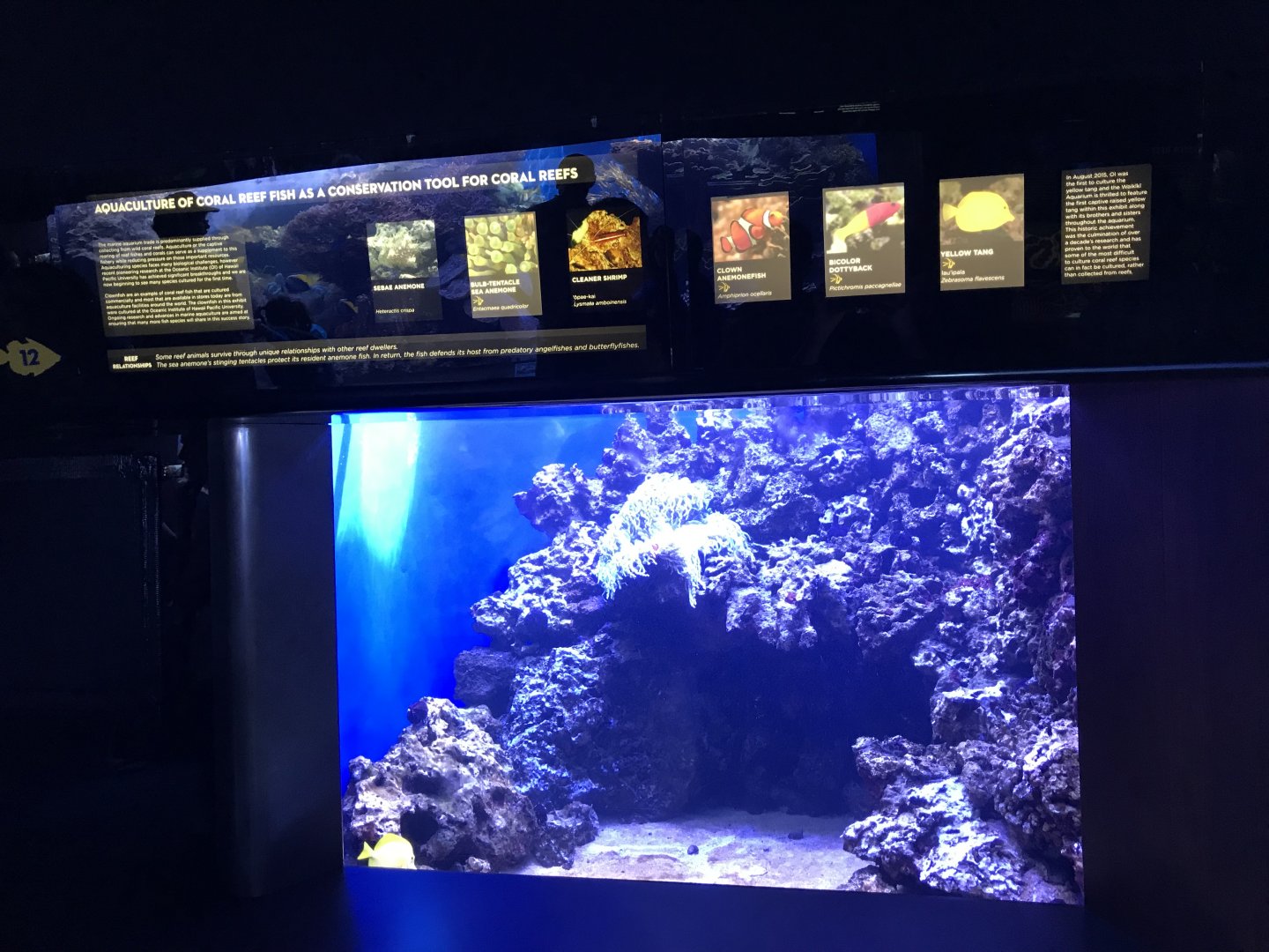 Marine aquaculture exhibit
