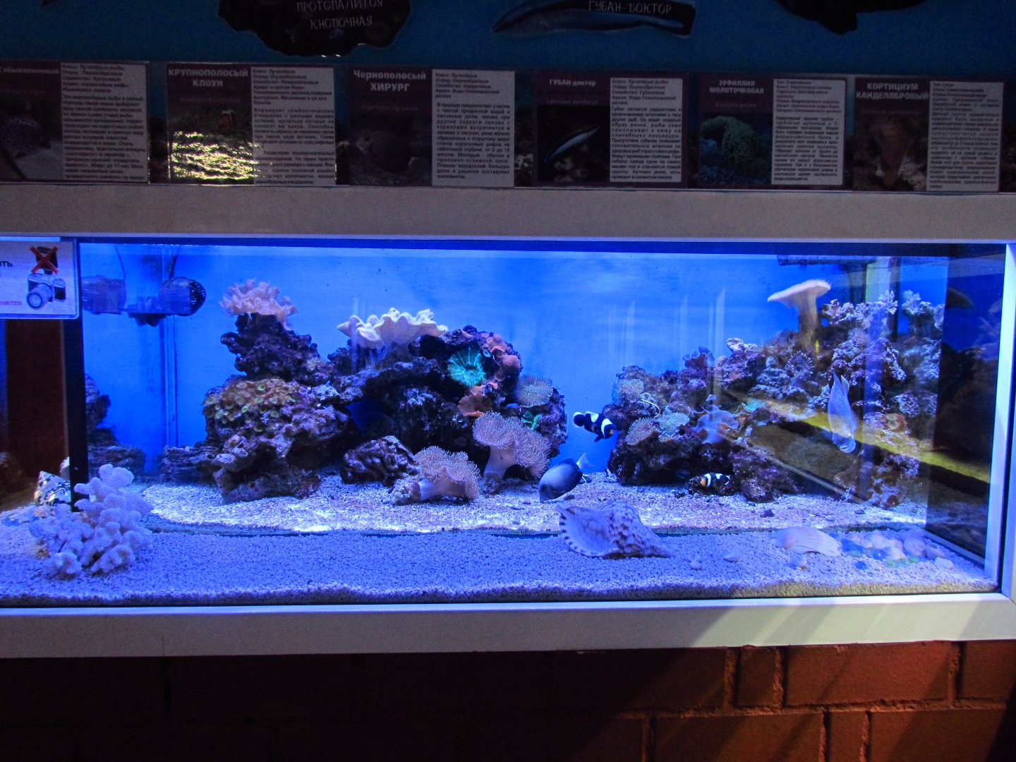 Marine aquarium 2