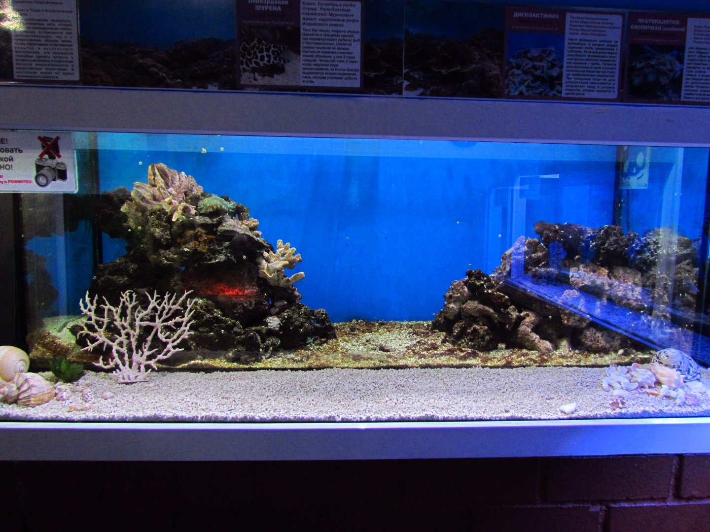 Marine aquarium 3