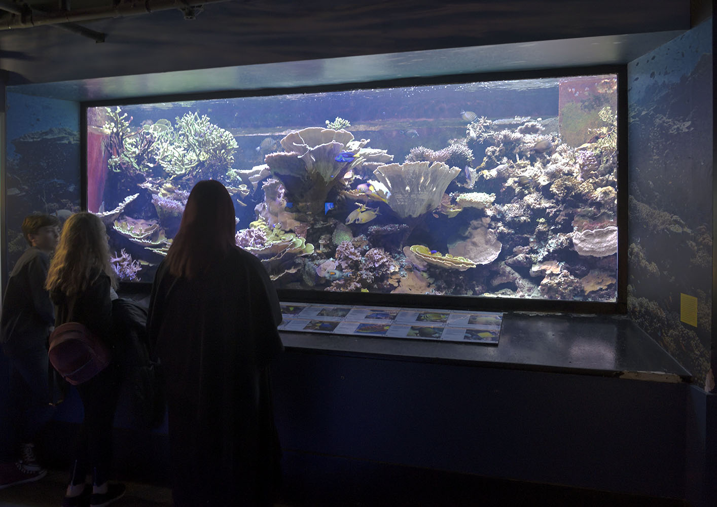 Marine aquarium