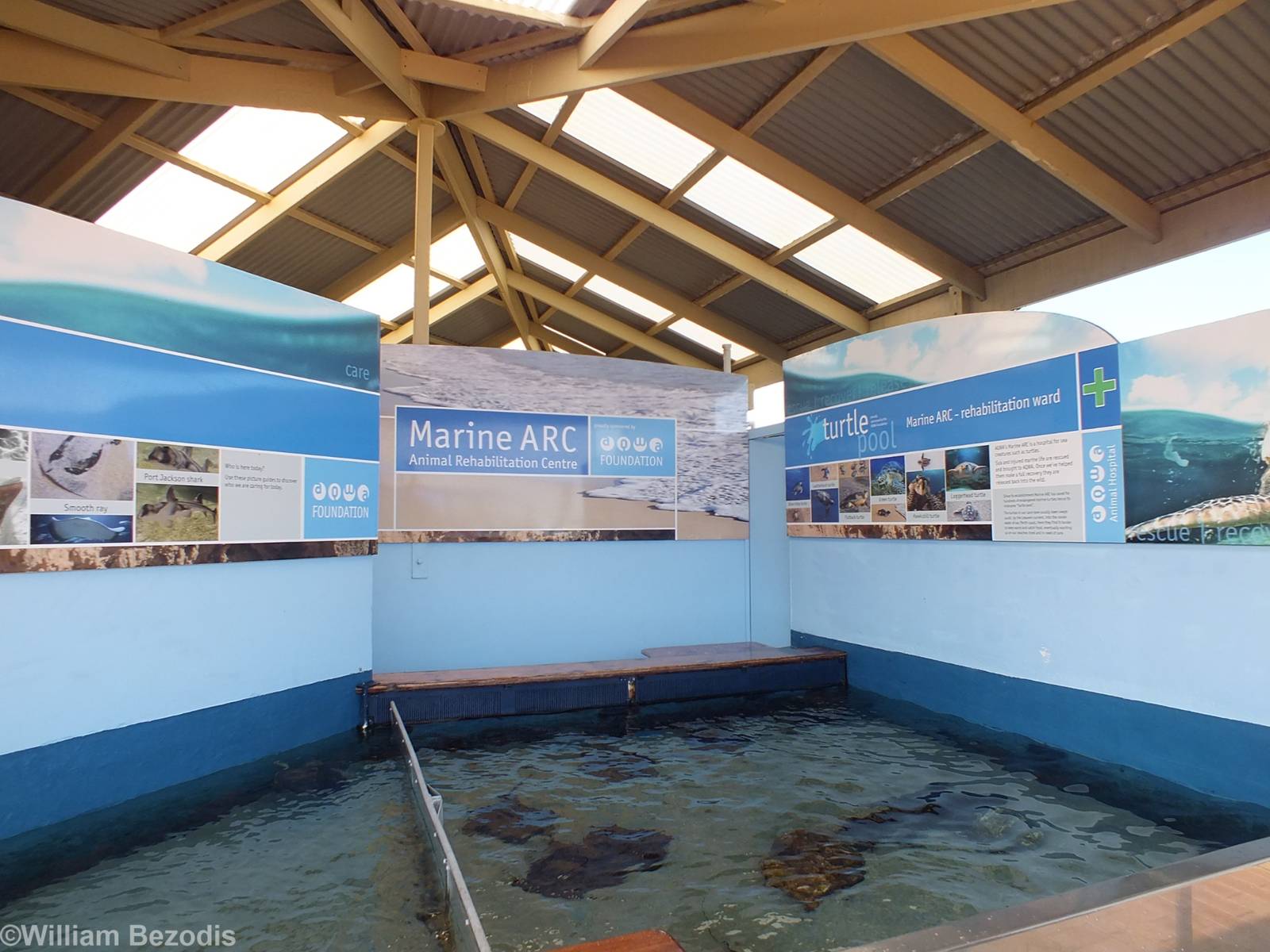 Marine ARC (Animal Rehabilitation Centre)