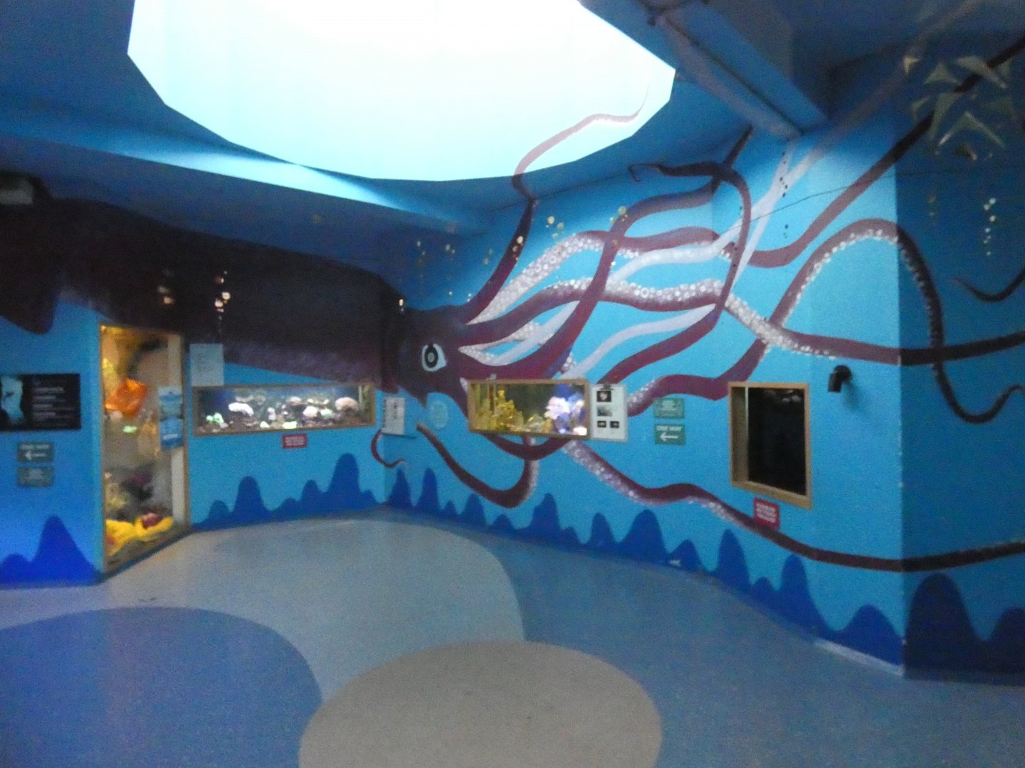 Marine area (Bug World)