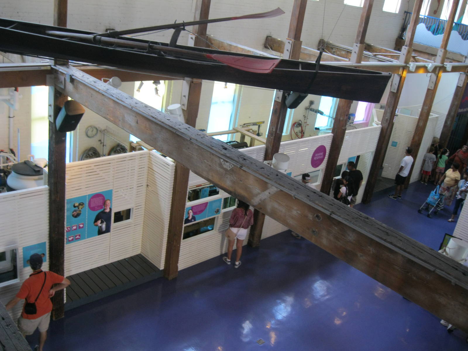 Marine Care Lab Overview