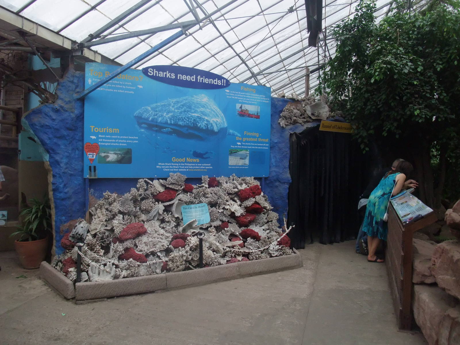 Marine Conservation display at the Palms: Final Visit, 08/08/10
