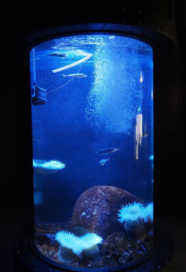 Marine cylinder tank, 2020-09-03