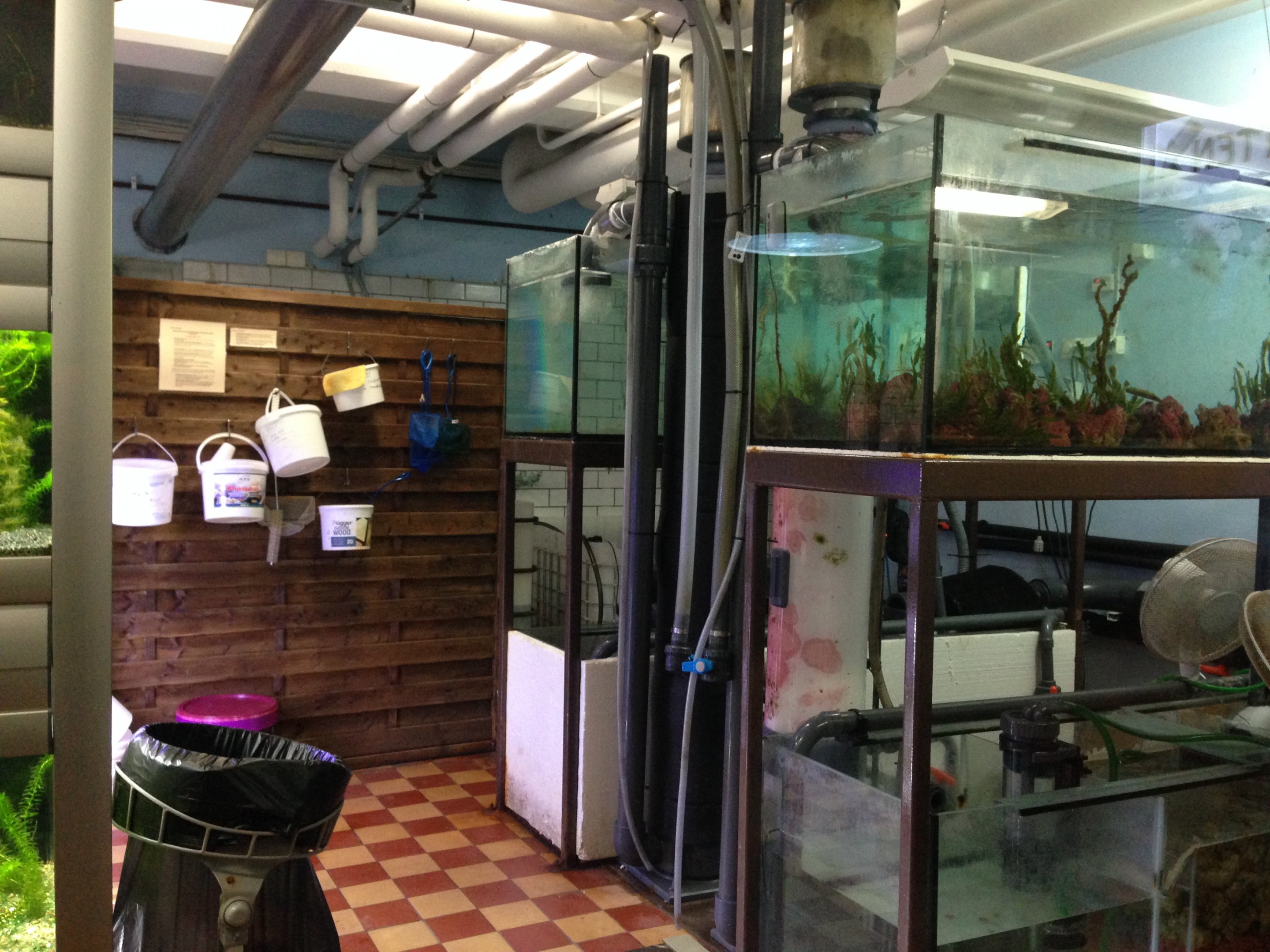 Marine departement backstage 2016