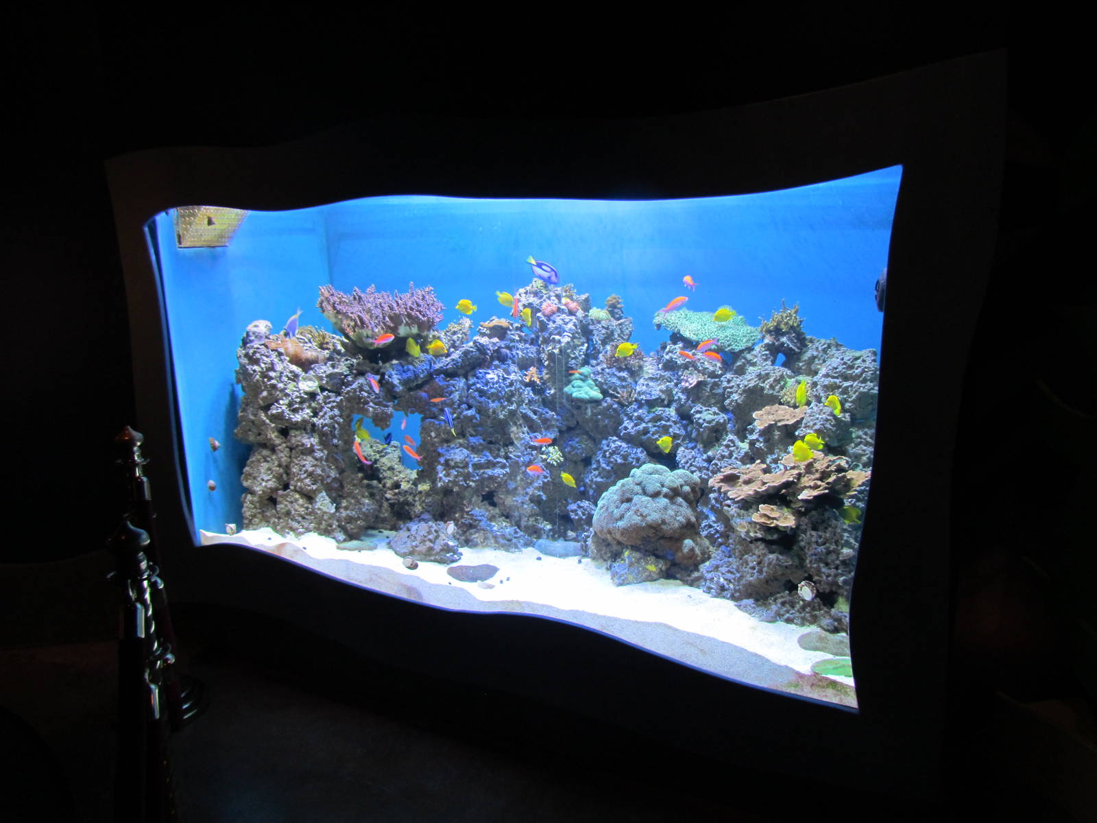 Marine Discovery Center