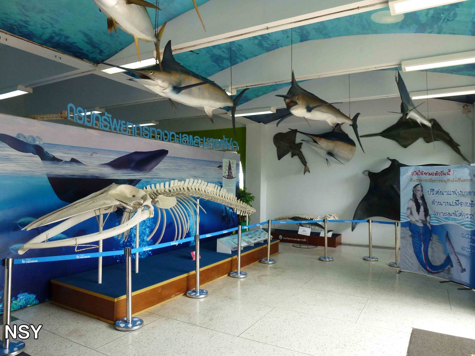 Marine displays, June 2013.