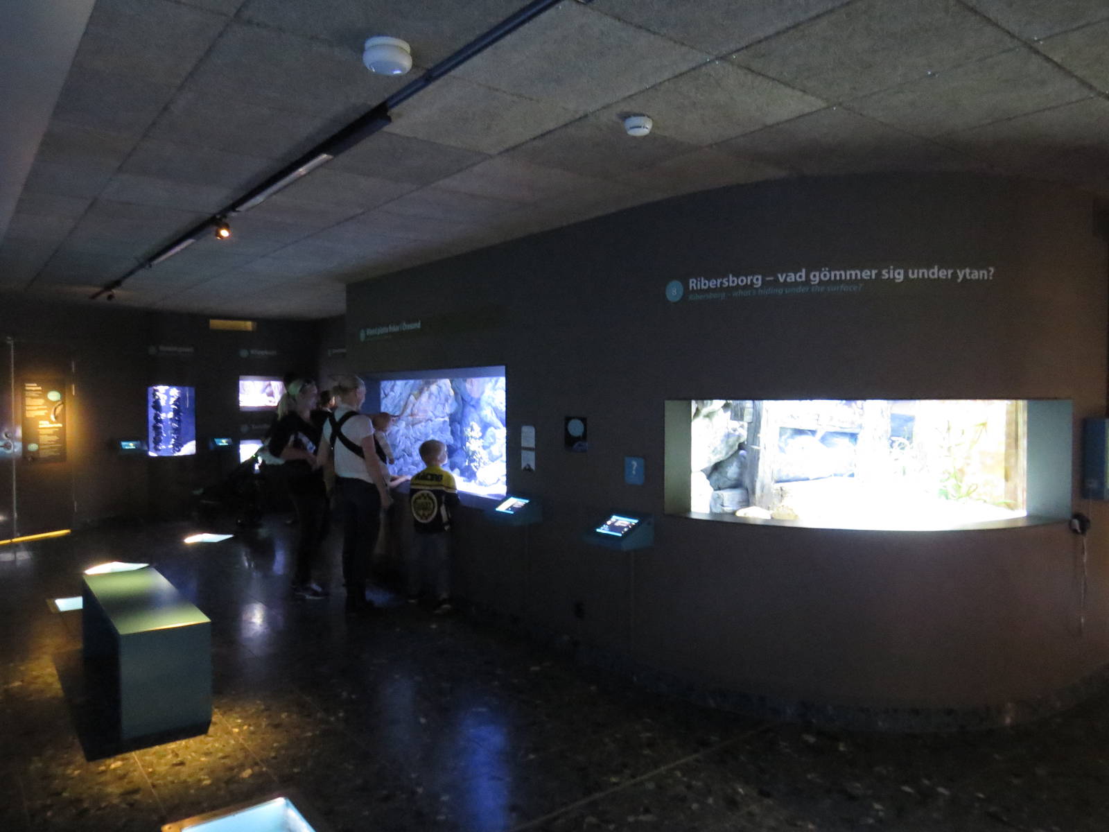 Marine exhibits, June 2015