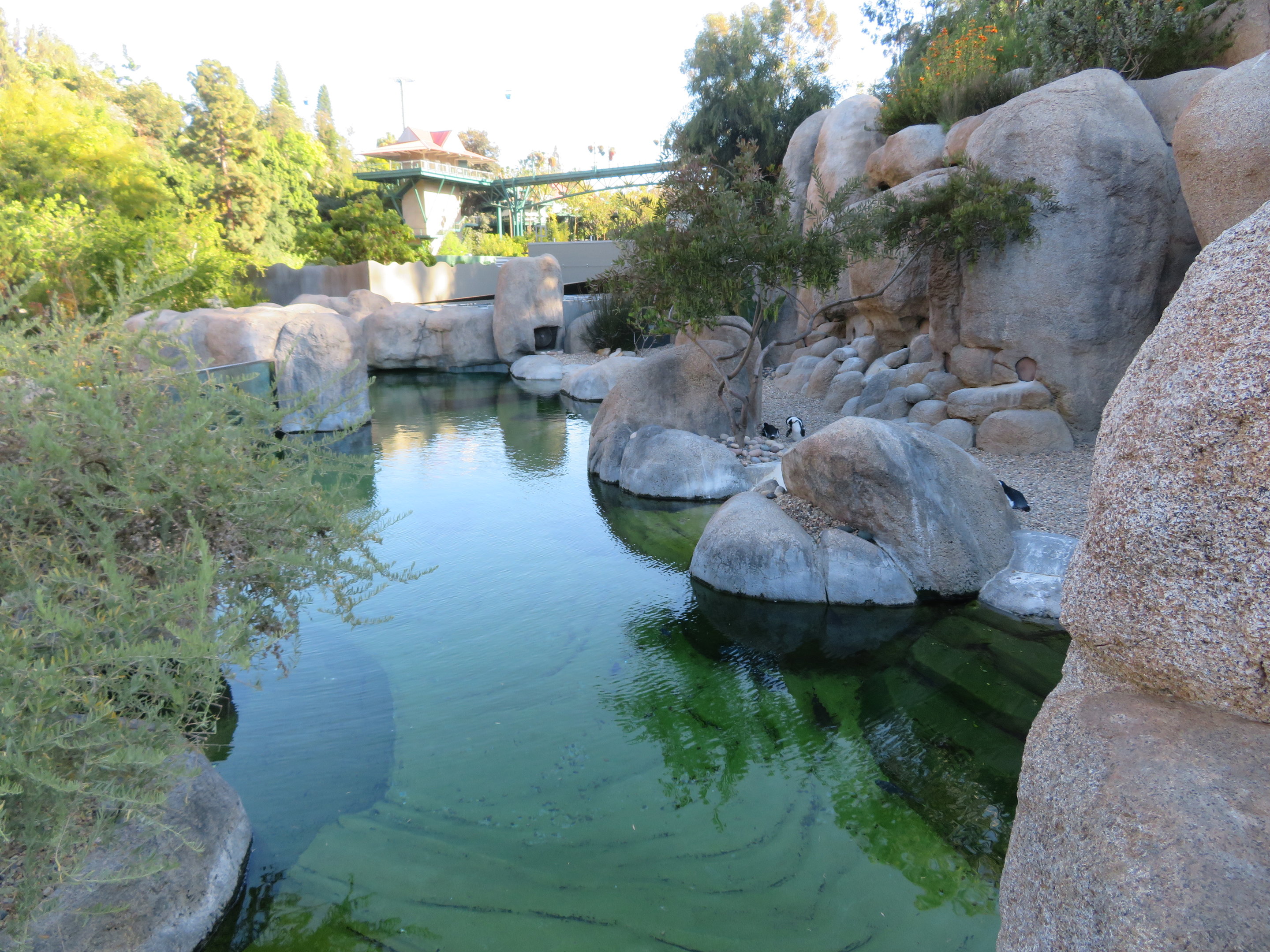 Marine Fish & Penguin Exhibit