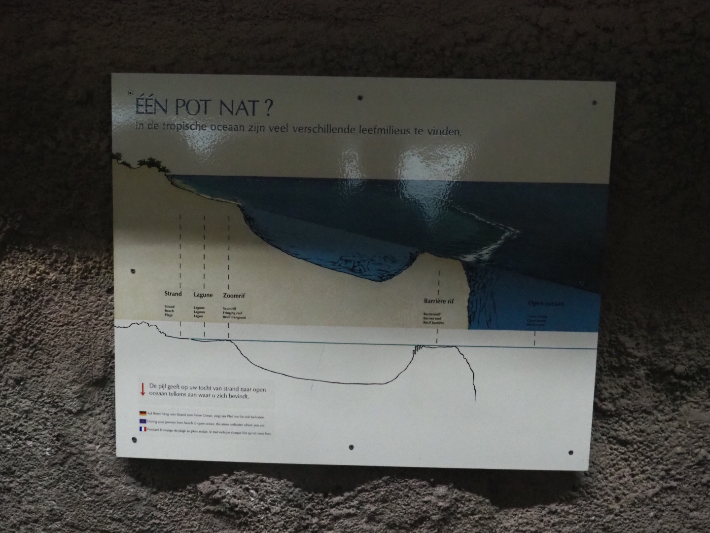 Marine habitats zonation sign (Sep 16th, 2018)