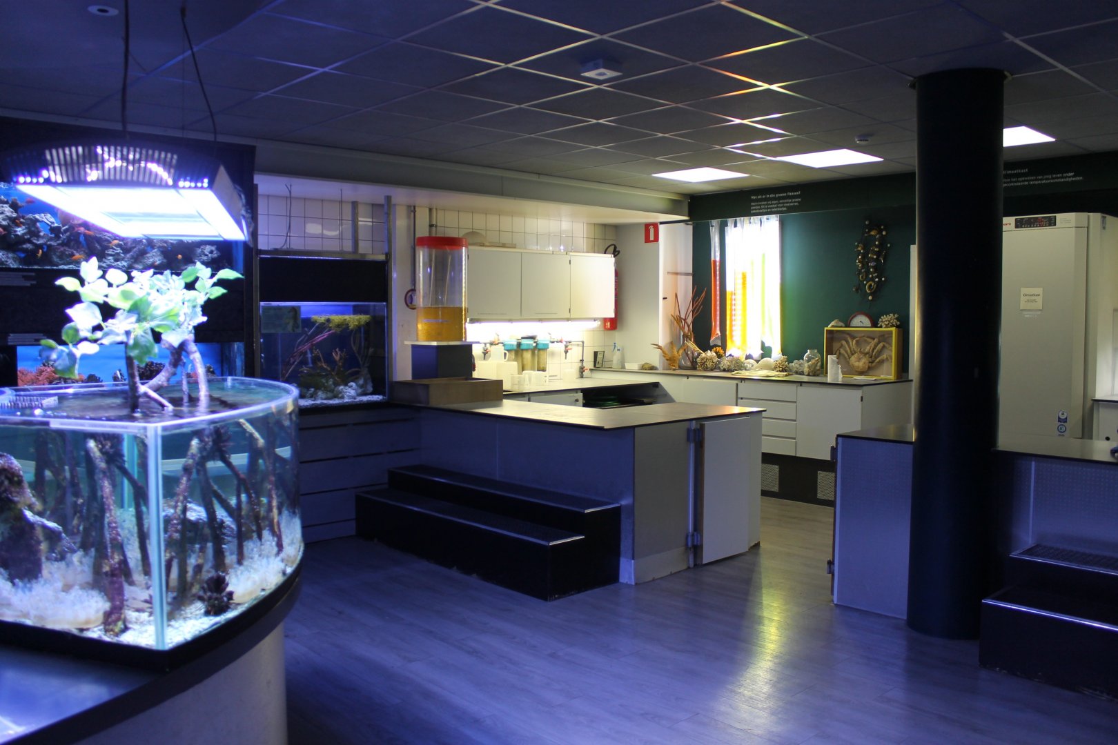 Marine Lab