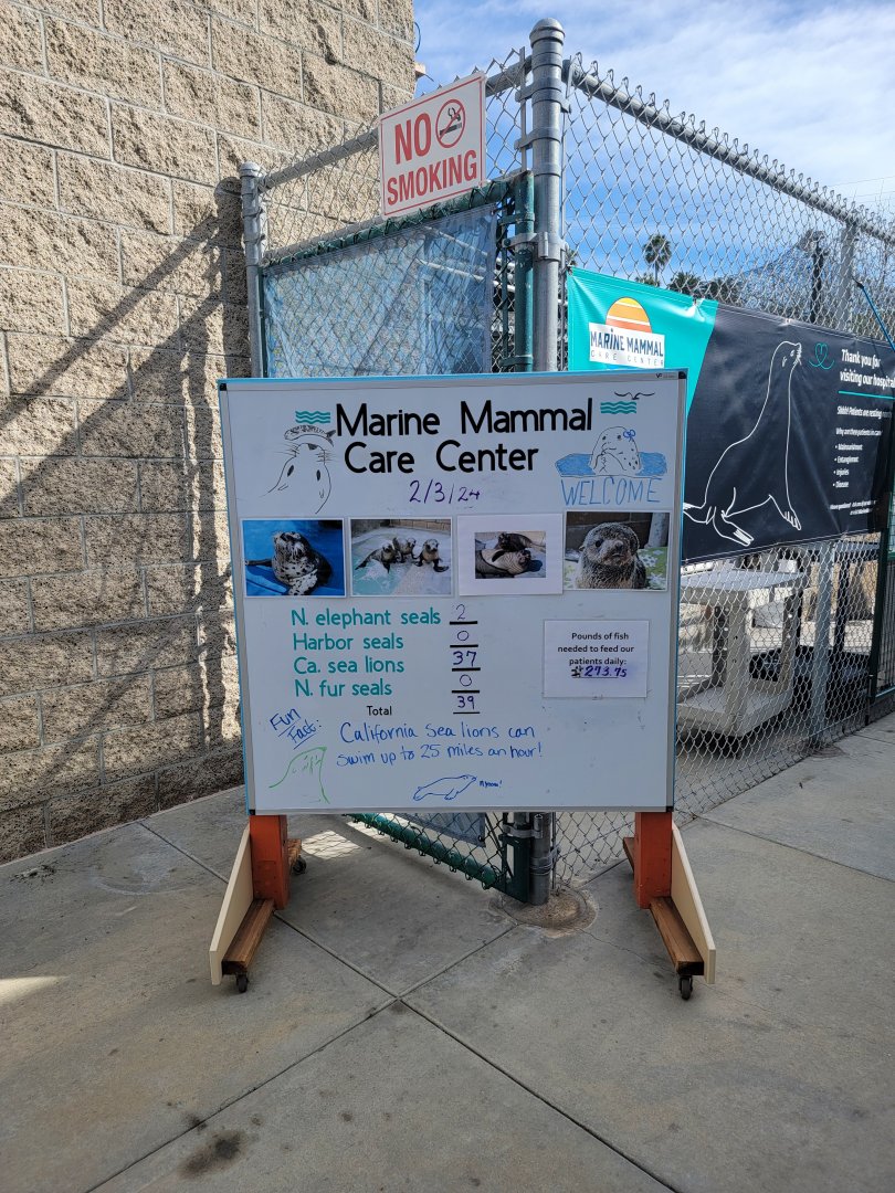 Marine Mammal Care Center - Current residents