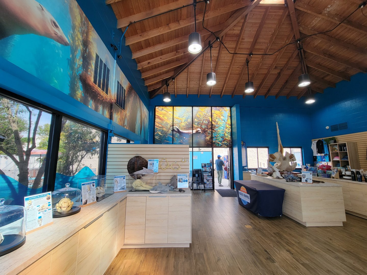 Marine Mammal Care Center - Inside building, with info on left, gift shop on right