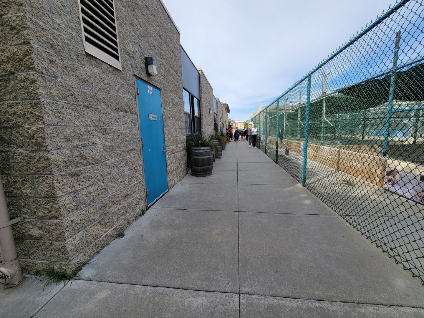 Marine Mammal Care Center - Viewing area in front of hospital pools