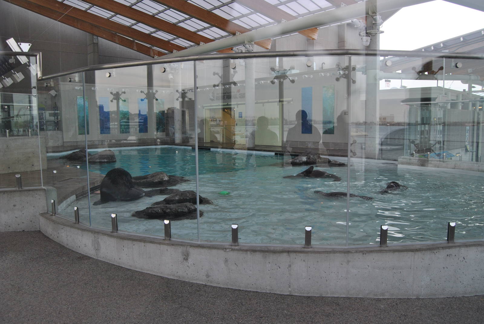 Marine Mammal Center