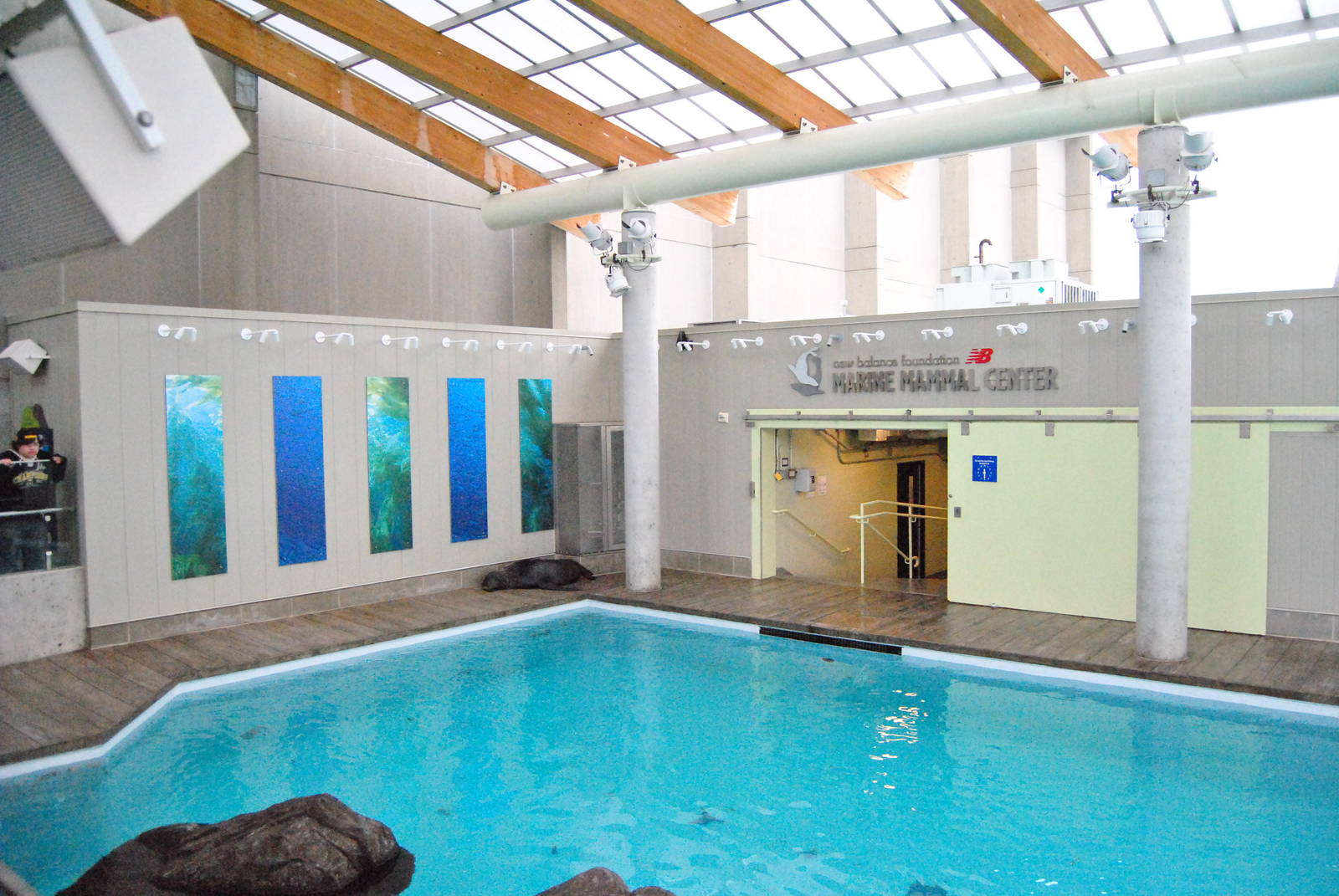 Marine Mammal Center