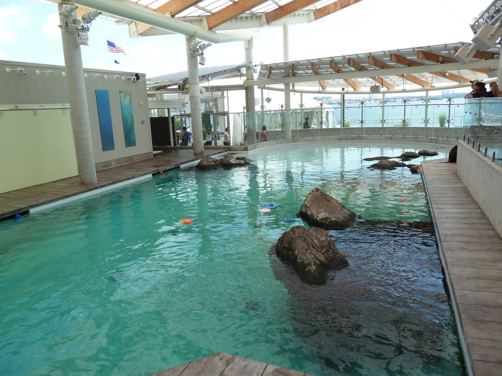 Marine Mammal Center