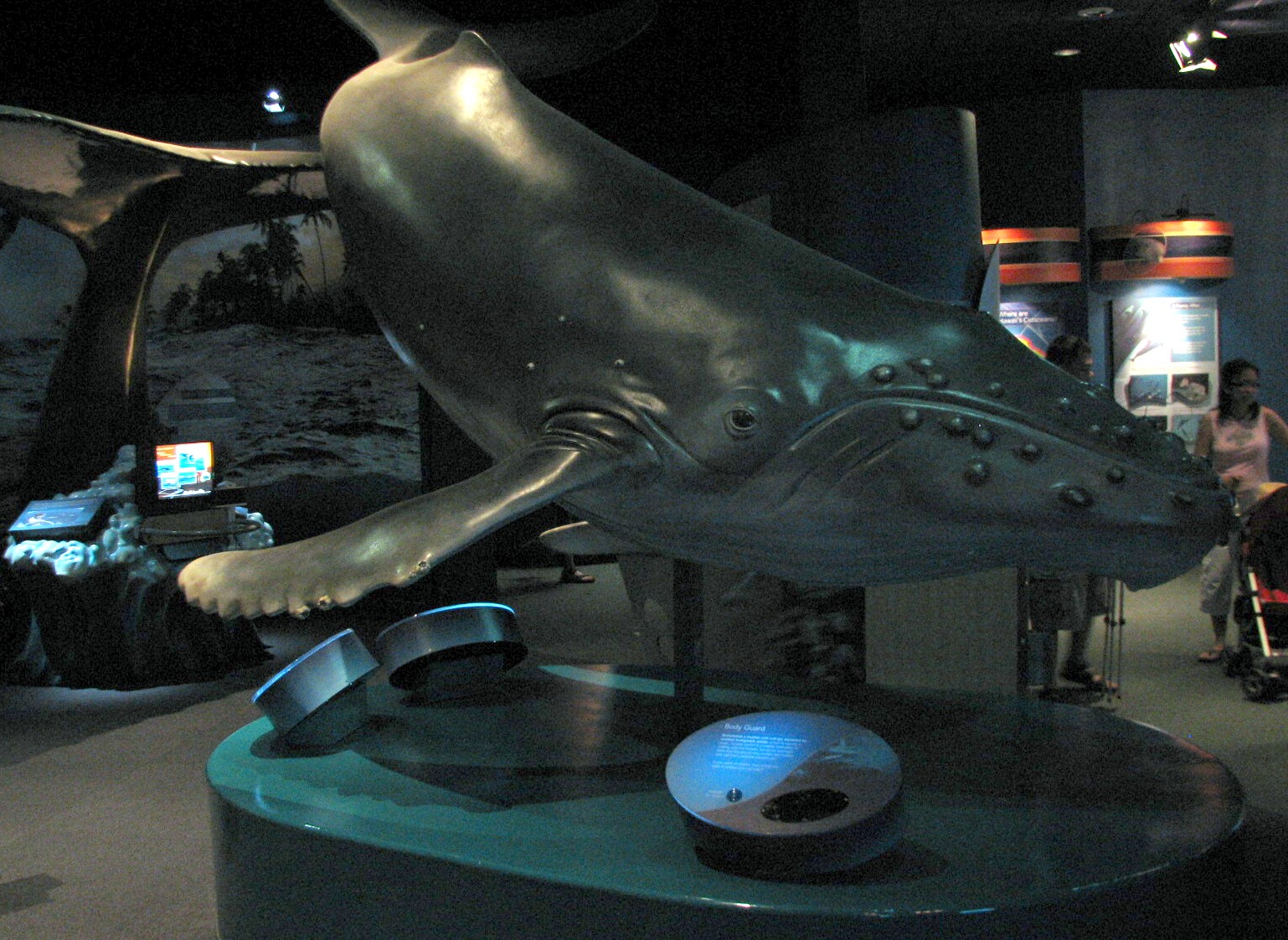 Marine Mammal Discovery Center