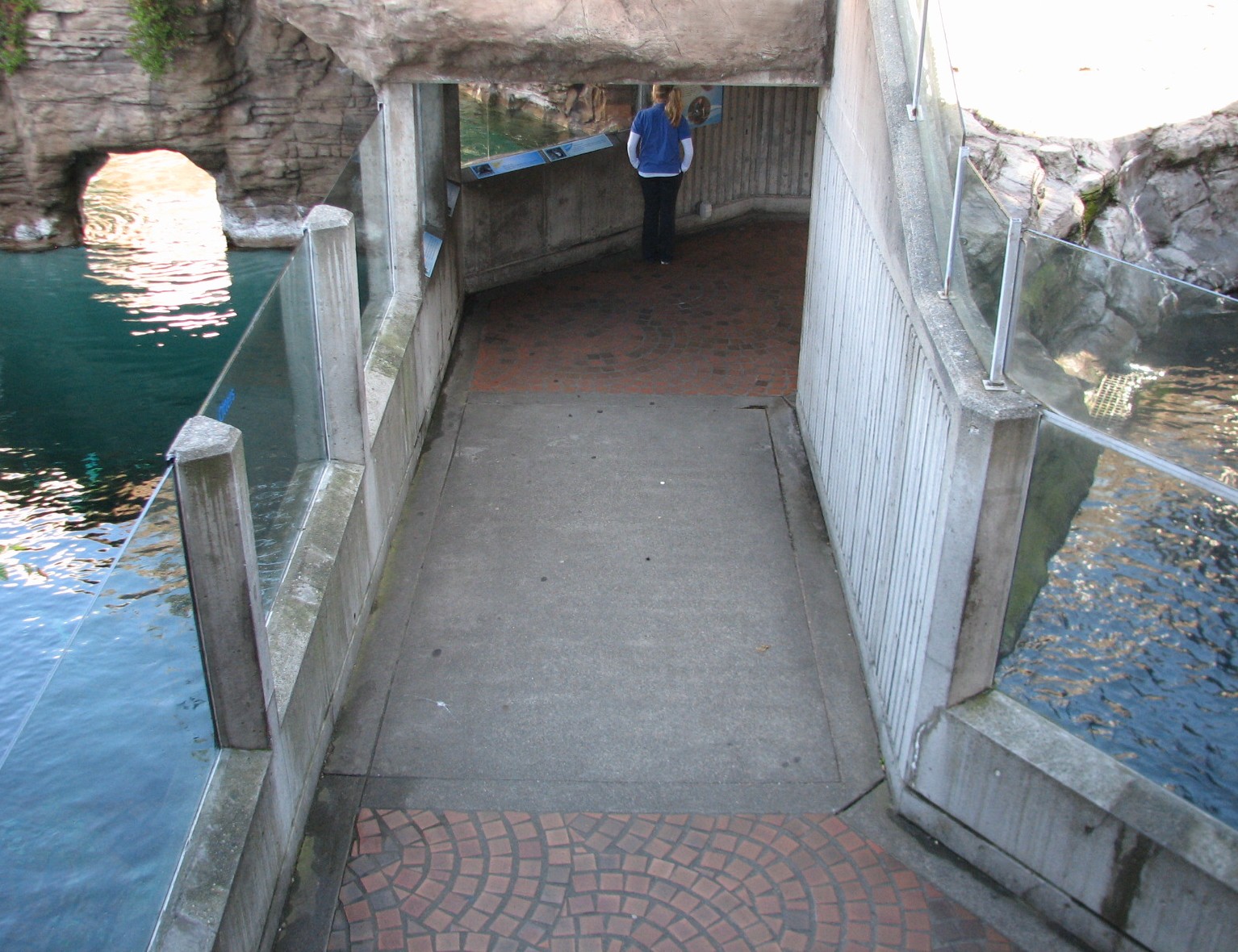 Marine Mammal Exhibit Viewing