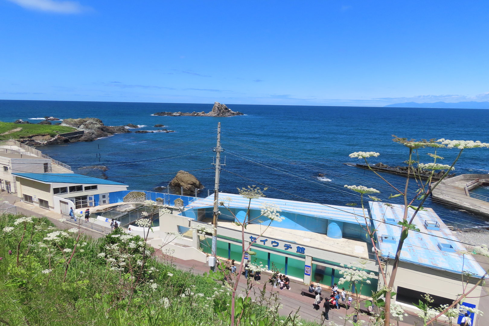 Marine mammal exhibit