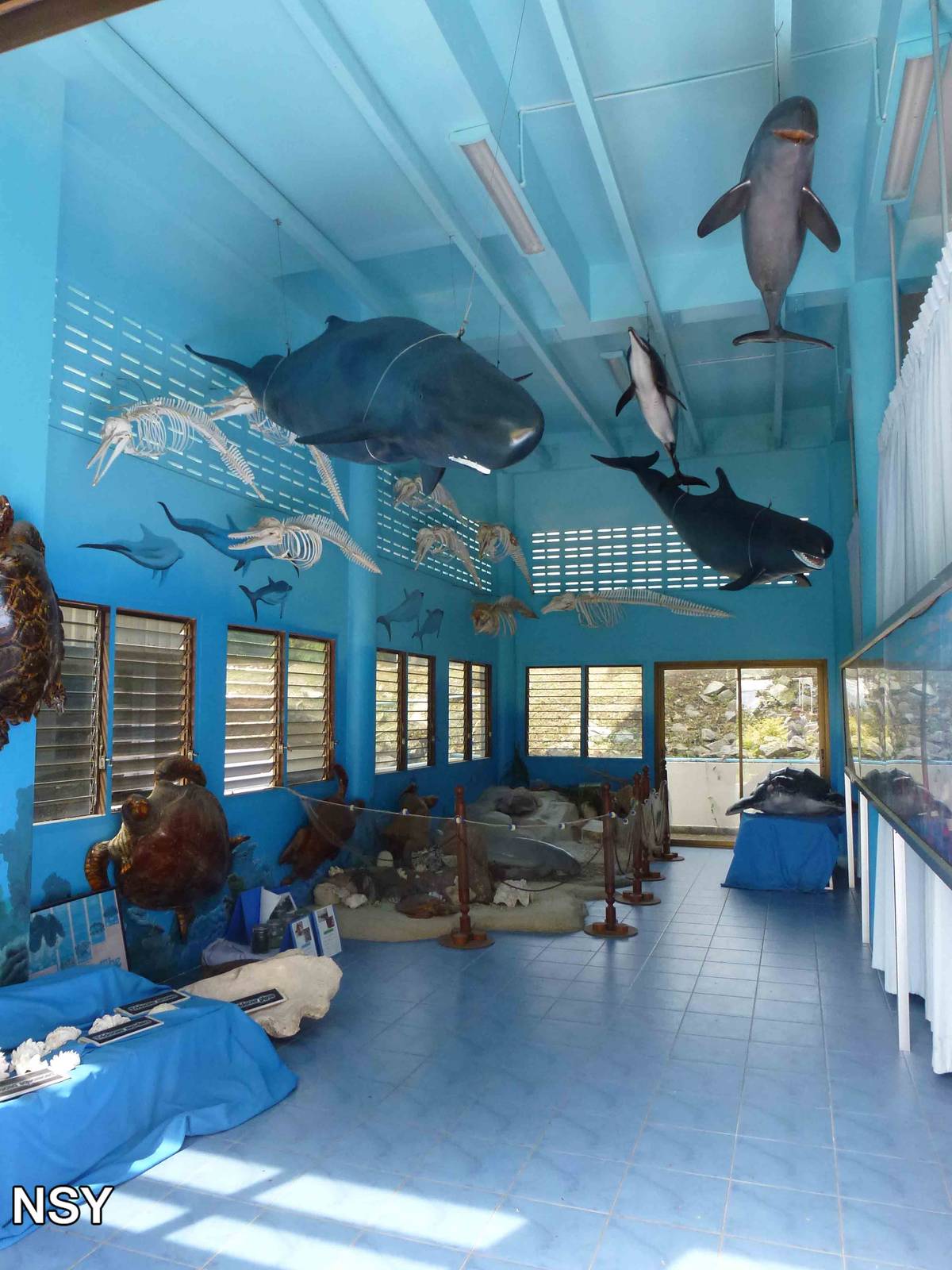 Marine mammal museum, June 2013.