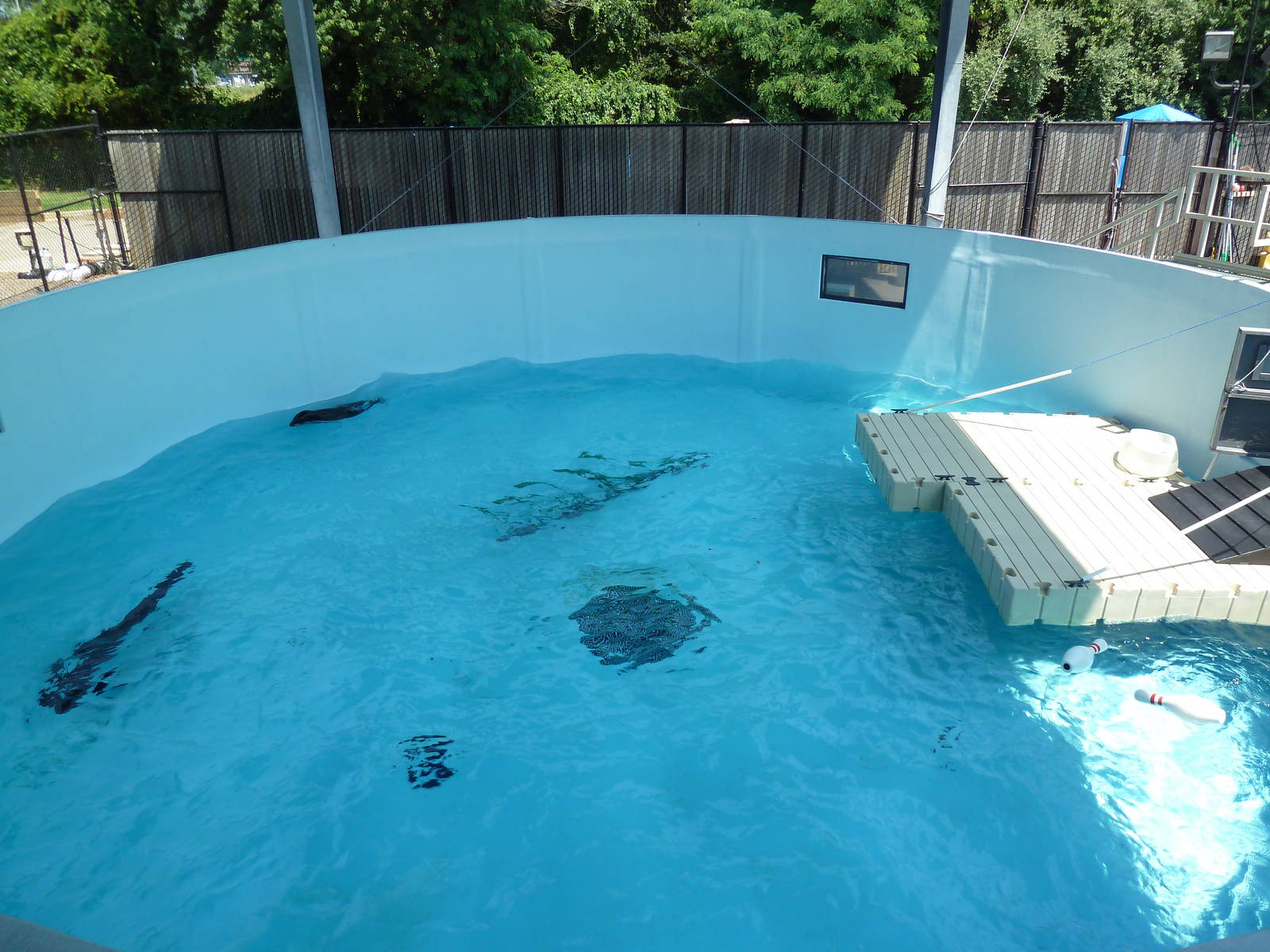 Marine Mammal Observatory