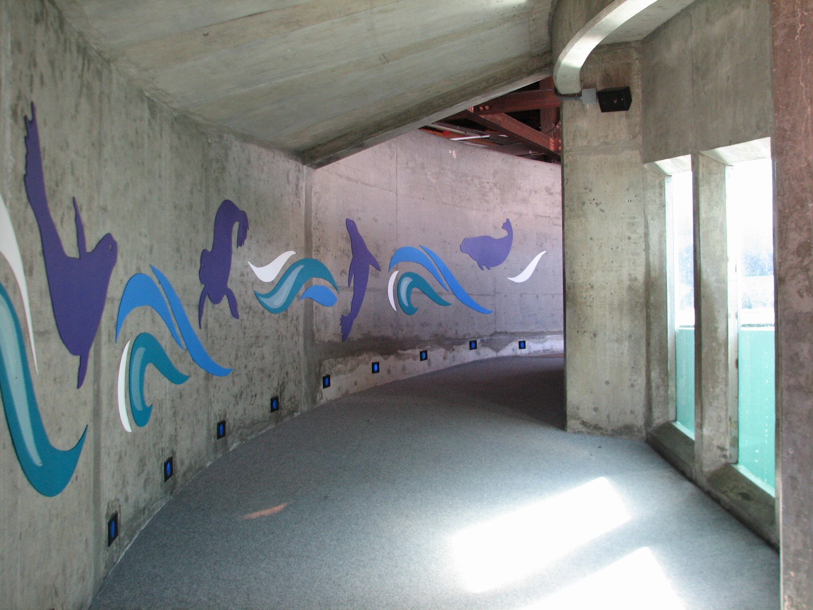 Marine Mammal Viewing