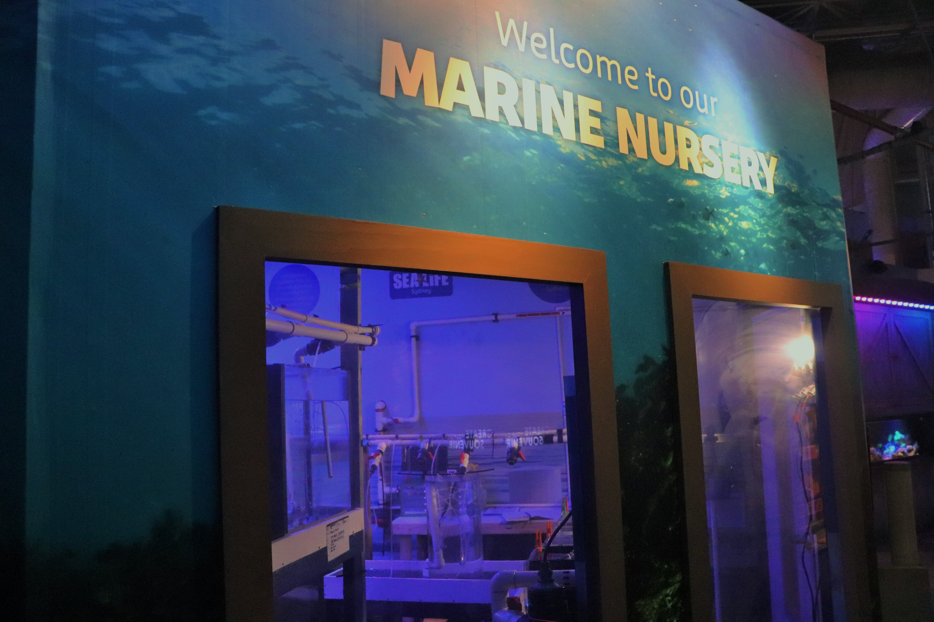 Marine Nursery