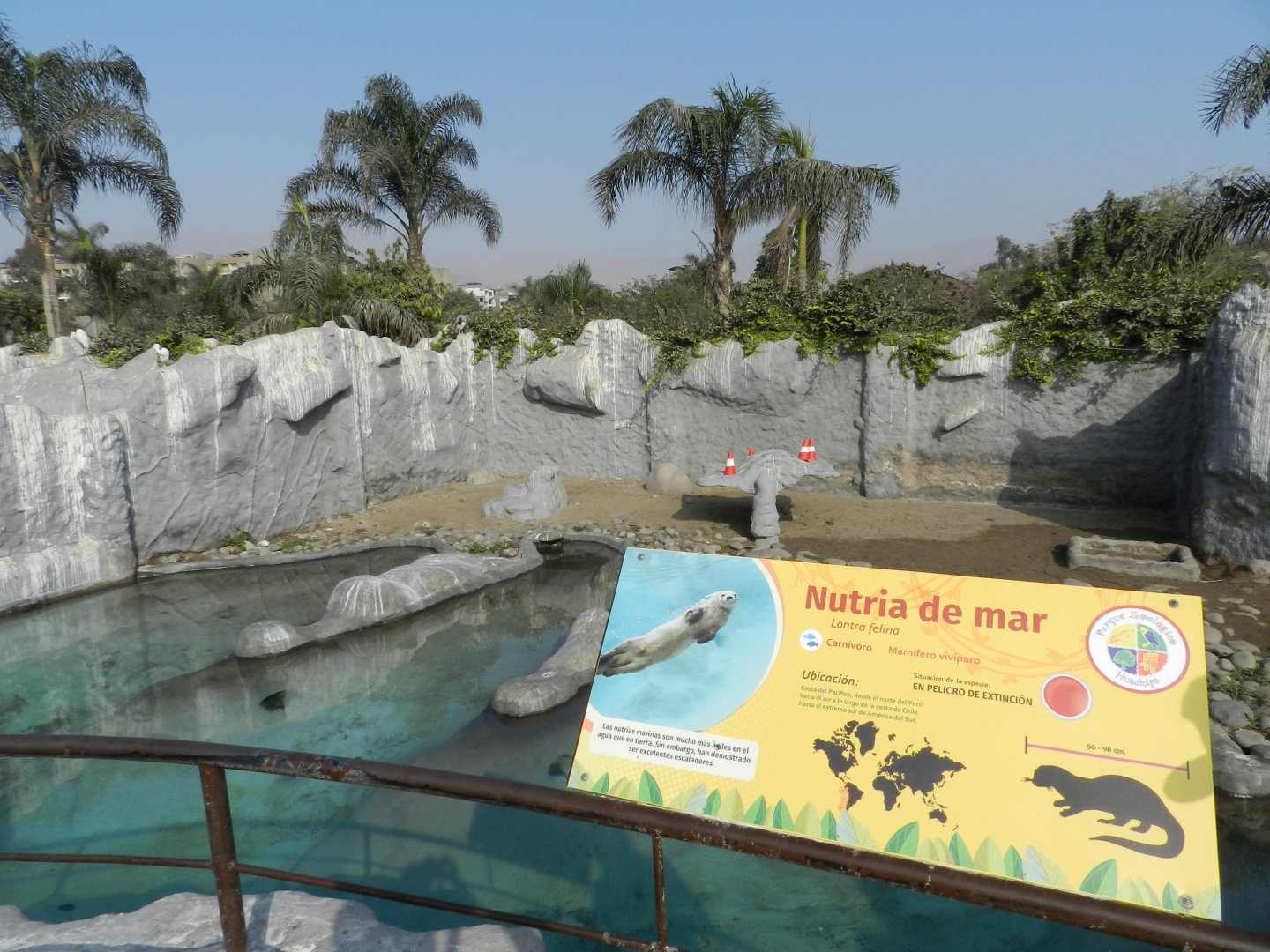 Marine otter exhibit - Parque Zoológico Huachipa