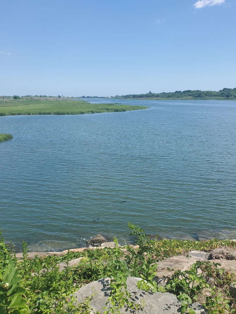 Marine Park Salt Marsh & Nature Center - Scenery